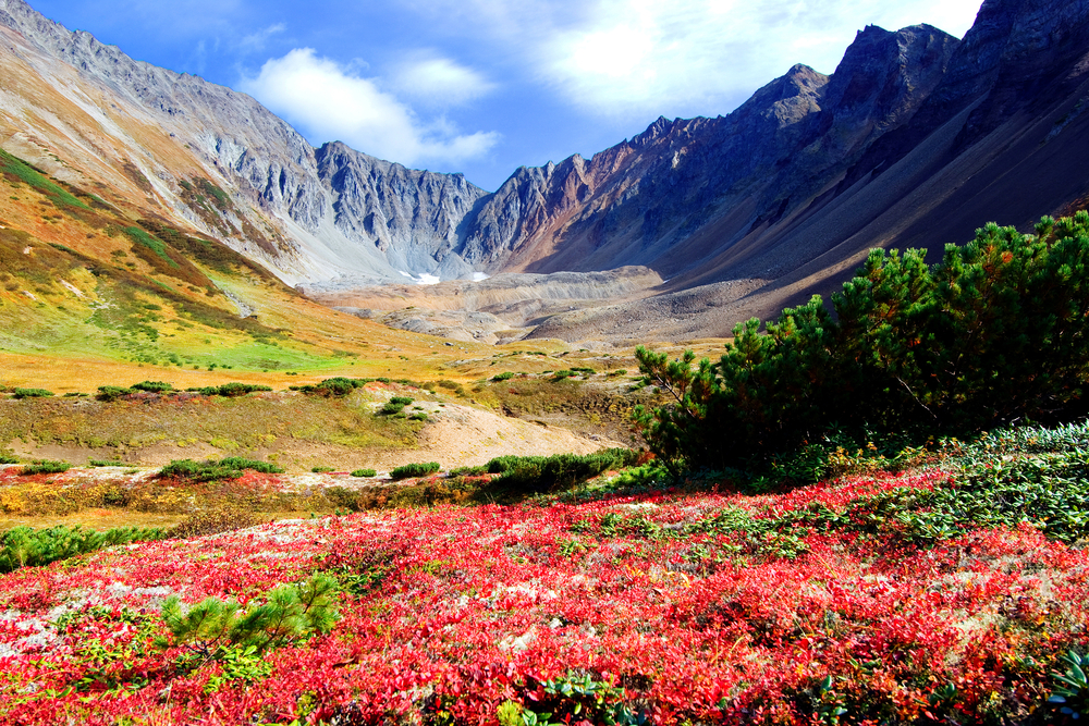 Kamchatka mountain valley.