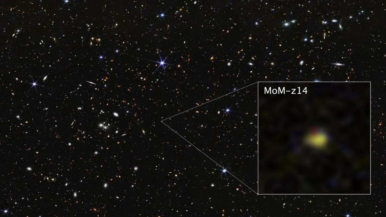 The James Webb Space Telescope has confirmed the most distant, early galaxy in the known universe. The new contender, MoM-z14, is visible just 280 million years after the Big Bang.