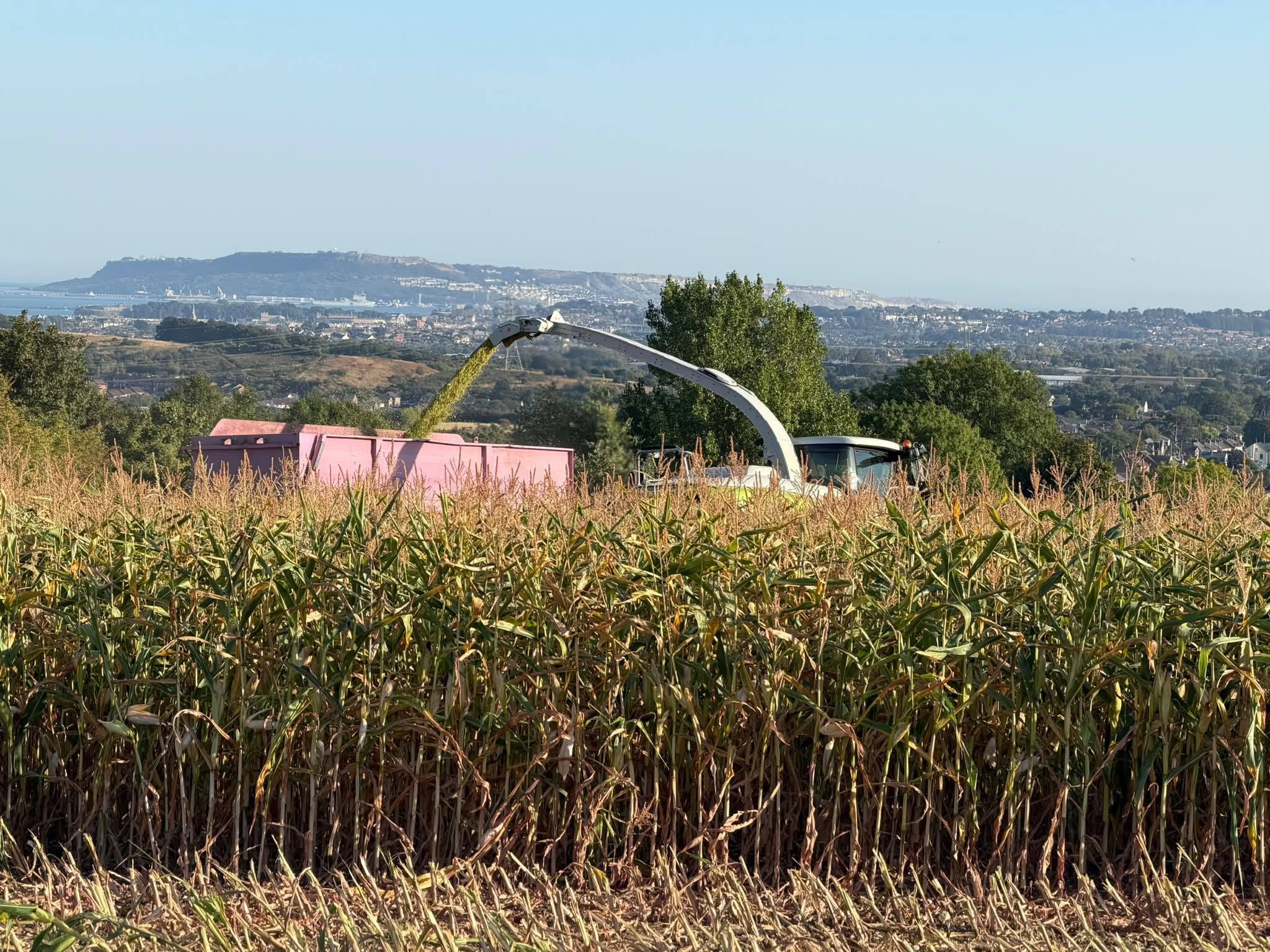 European heatwave wiped out about €2B worth of grain. Maize Harvest 2026 is underway 8 days earlier than last year, 30 days earlier than normal