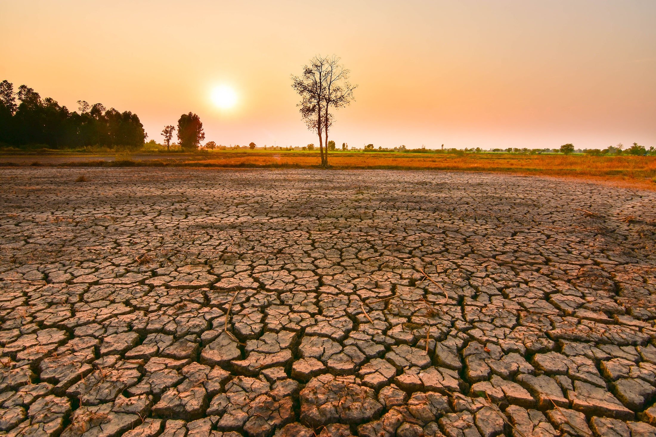 Super El Niño van kialakulóban – Az Earth új éghajlati stresszteszt előtt áll