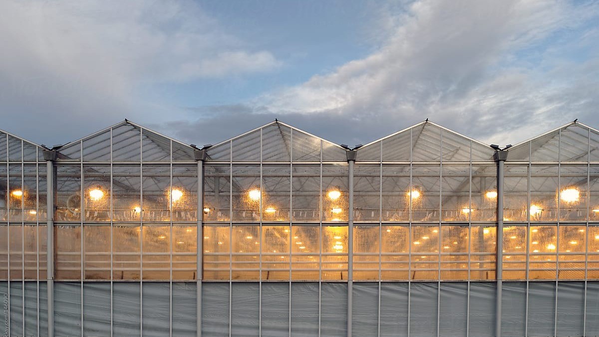 Climate change is rapidly changing how we grow and harvest.